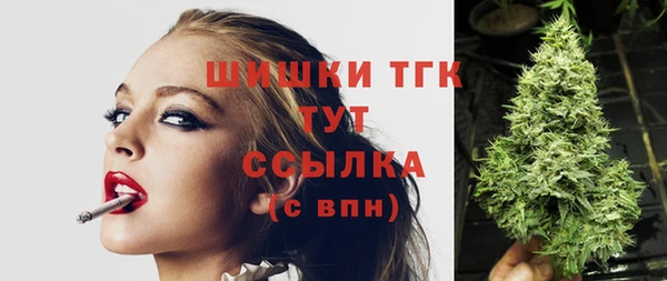 индика Балабаново
