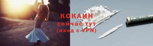 индика Балабаново