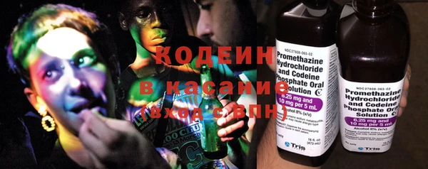 индика Балабаново